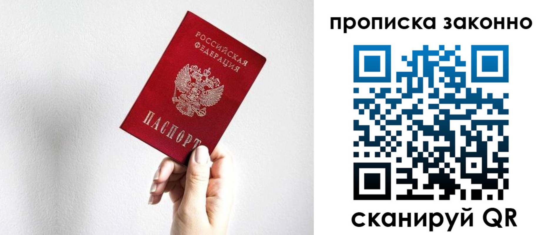 временная регистрация гарантия в Коле